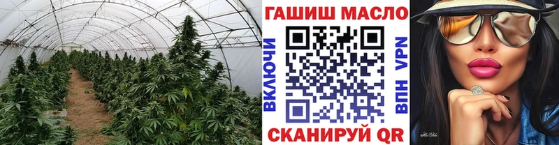 сайты даркнета какой сайт  Арзамас  ТГК концентрат 