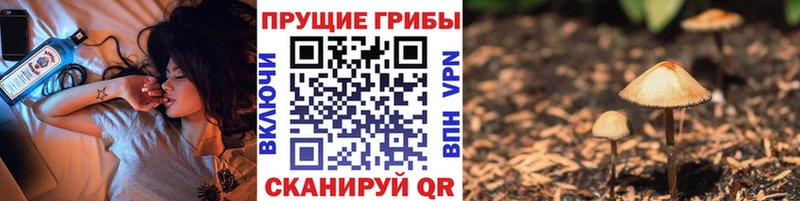 Галлюциногенные грибы Magic Shrooms  что такое наркотик  Арзамас 